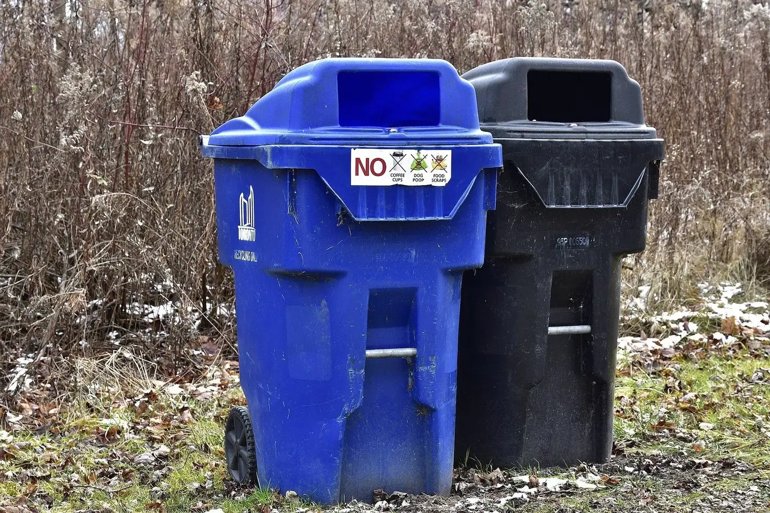 Tiga tempat sampah pemilahan berwarna biru dan hitam di area taman.